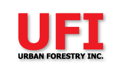 UFI Logo